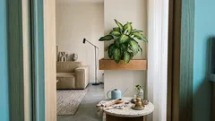 Comigo-ninguém-pode: como cuidar da dieffenbachia em casa sem riscos para crianças e animais