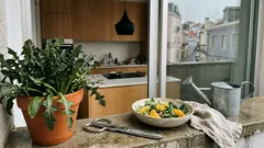 Almeirão: benefícios, valor nutricional e como usar sem medo do amargo