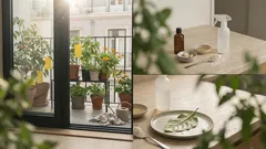 Mosca-branca: como identificar e eliminar na horta com soluções simples