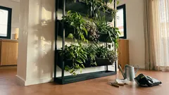 Jardim vertical em casa: 10 plantas fáceis e bonitas para um painel sempre verde