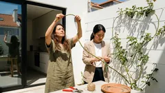 Rosas trepadeiras: guia simples para ter mais flores na parede, arco ou pérgola