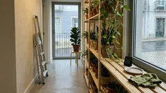Como ter mais plantas em casa sem perder espaço: soluções verticais que resultam