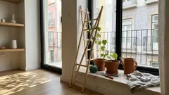 Cortina vegetal na janela: como arrefecer a casa no verão com sombra natural