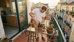 Vaso de xaxim: porque deixou de ser opção e 4 alternativas naturais que resultam