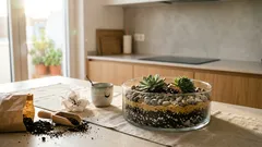 Terrário de suculentas: o erro que quase toda a gente comete (e como evitar)