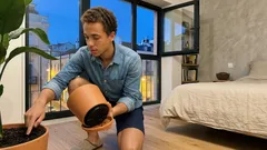 5 mitos sobre plantas de interior que te estão a sabotar (e como cuidar sem stress)