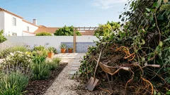 Plantas invasoras no jardim: como identificar e travar antes que dominem tudo