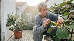 A tua fruteira não dá frutos? Descobre se tens planta macho ou fêmea