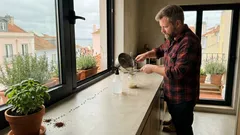 Como reduzir formigas na horta com métodos naturais e sem prejudicar as plantas