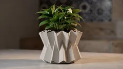 Vaso expansível que cresce com a planta: como funciona o GROWTH