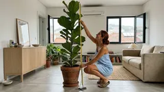 Plantas altas para interior: 9 espécies que dão vida à casa e crescem bem em vaso