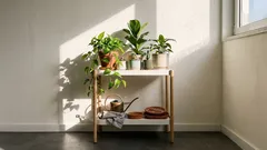 Estantes para plantas: 11 ideias práticas para organizar plantas de interior com estilo