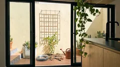 Muro verde: 5 trepadeiras ideais para cobrir muros e refrescar o quintal