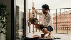 Rabo-de-gato: 4 cuidados simples para ter flores vermelhas fofas durante mais tempo