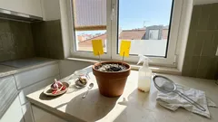 Como eliminar mosquitinhos de vaso com 3 soluções caseiras e uma rotina simples
