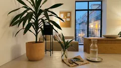 Como cuidar da dracena em casa: luz, rega e dicas para folhas sempre bonitas